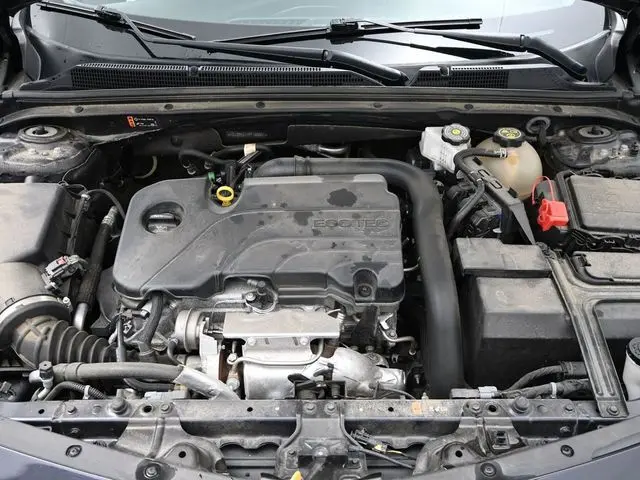image-19
