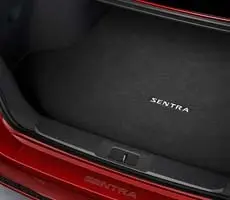 Spacious Trunk