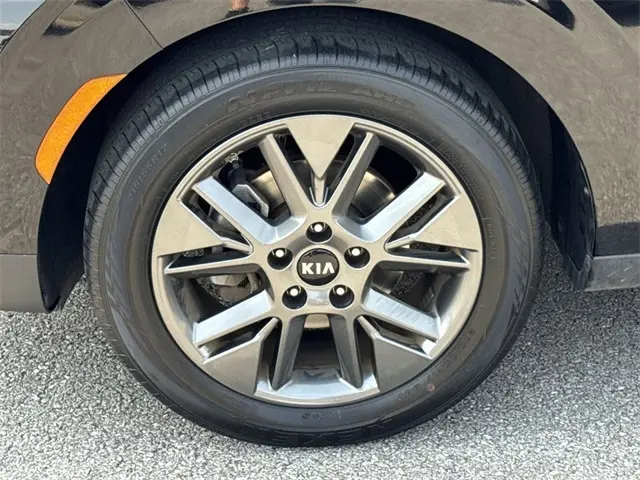 image-19