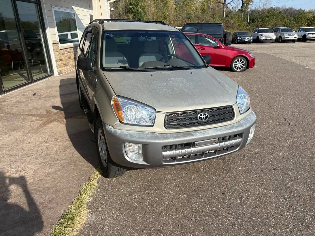image-7