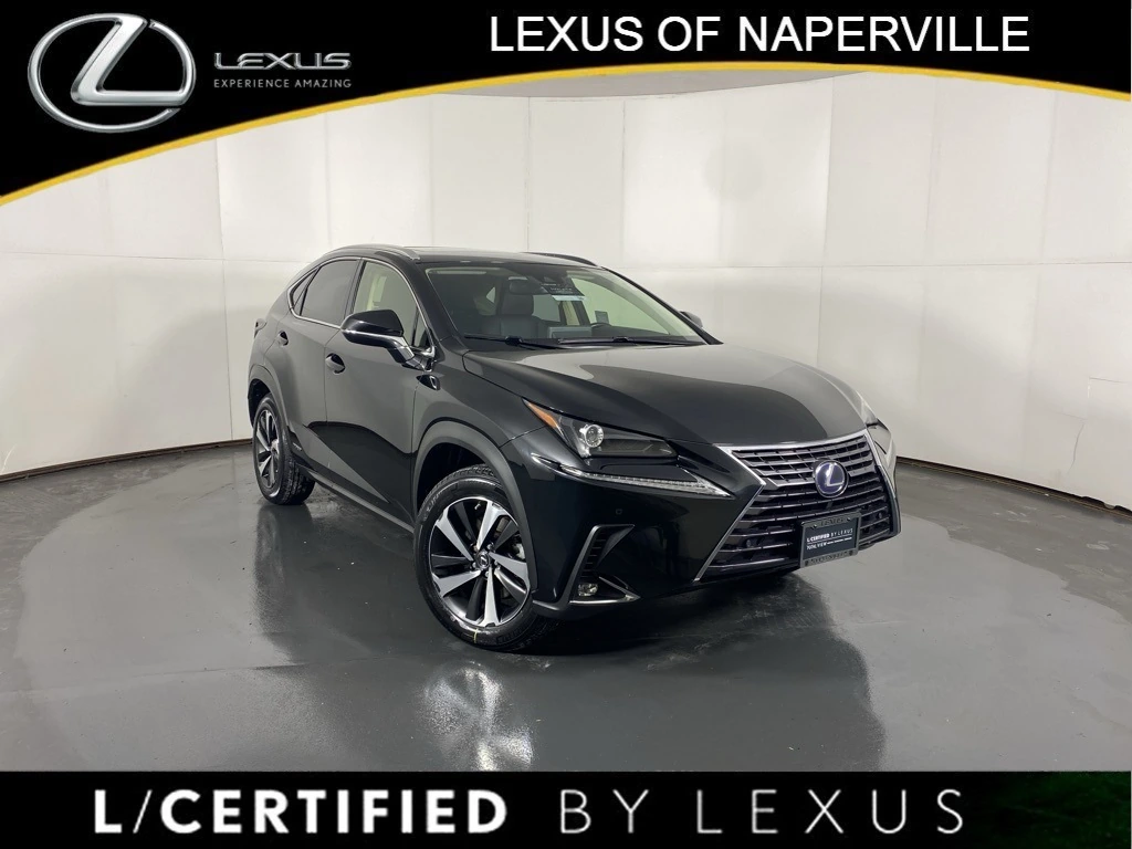 2020 Lexus NX Hybrid 300h's photo
