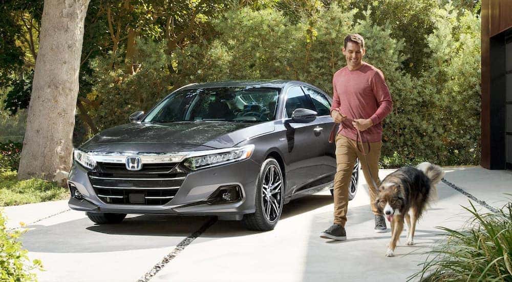 A popular Honda car, a grey 2021 Honda Accord Hybrid, is parked in a driveway with a man walking his dog.