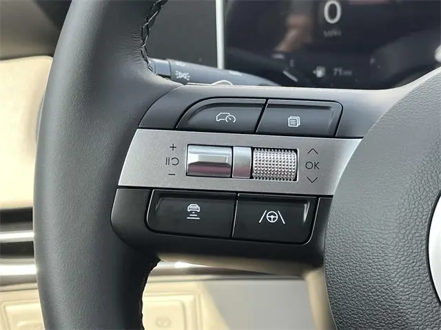 image-19