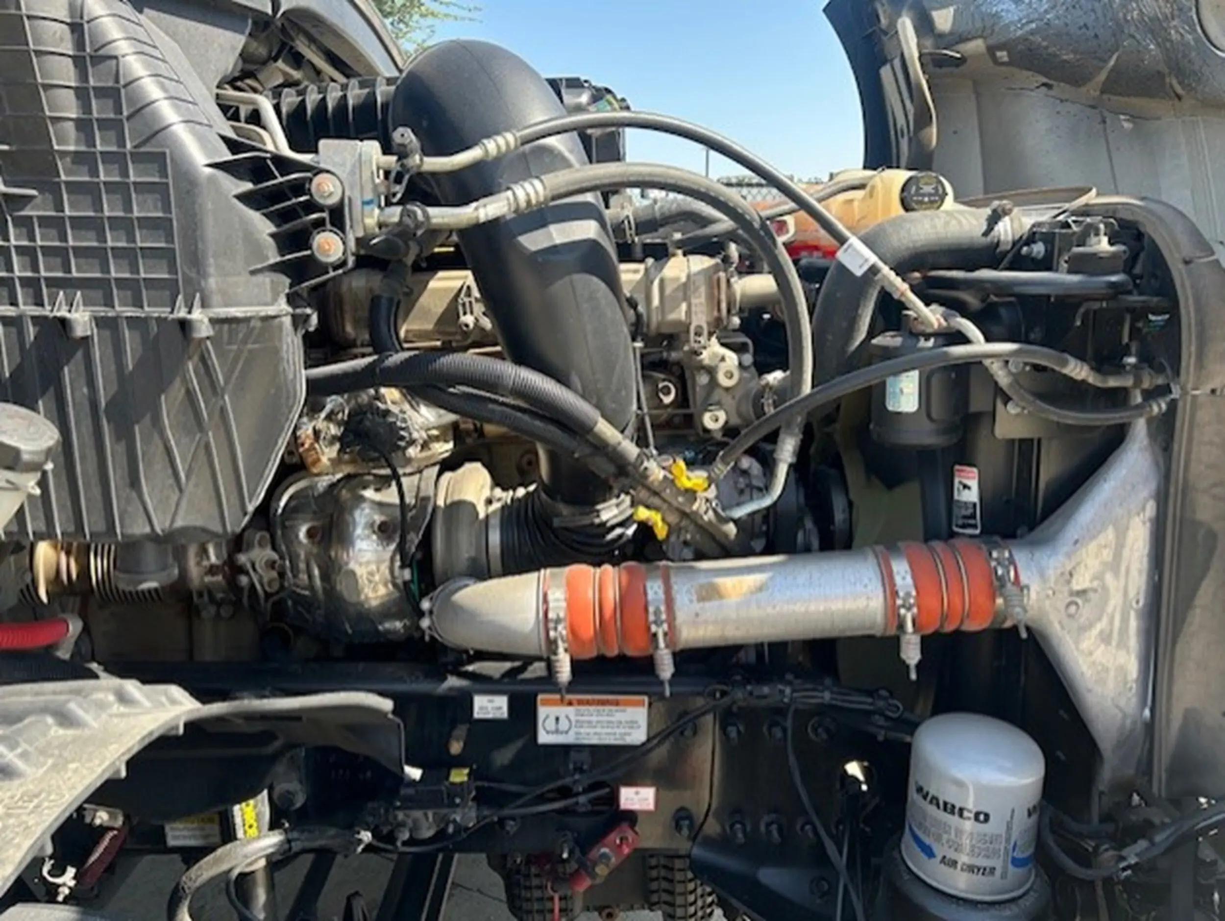 image-12