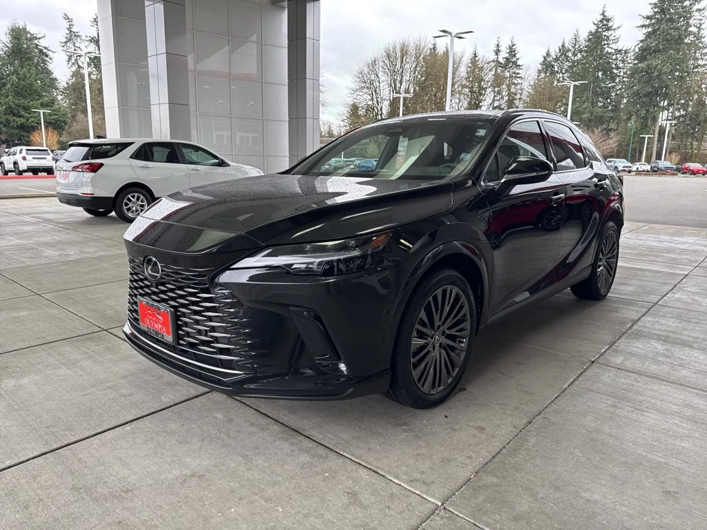 2025 Lexus RX Hybrid 350h - Photo 10