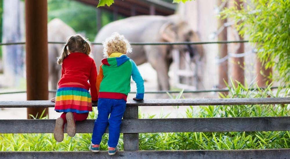 Two children are leaning over a fence admiring an elephant at a zoo.