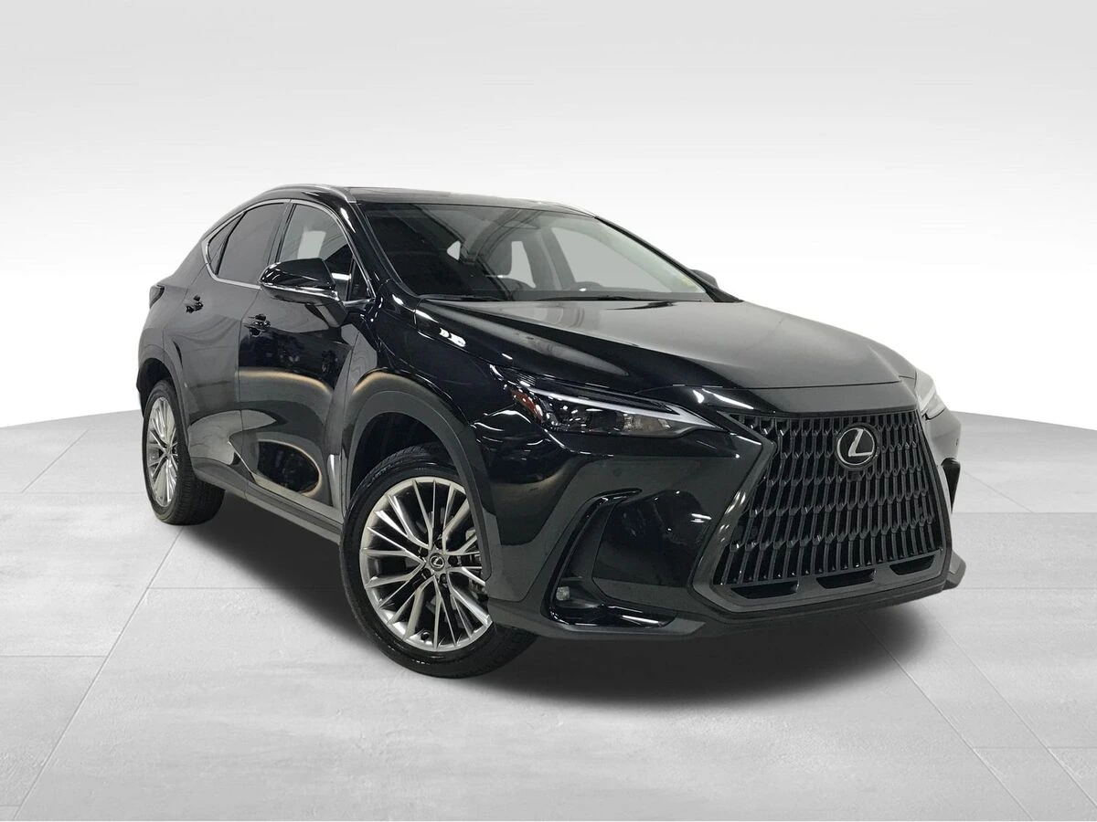 2025 Lexus NX 350h 350h Premium AWD's photo