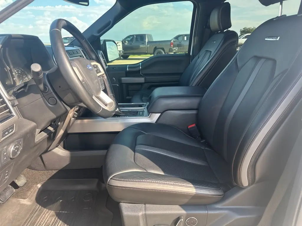 2020 Ford F-150 Platinum photo 9