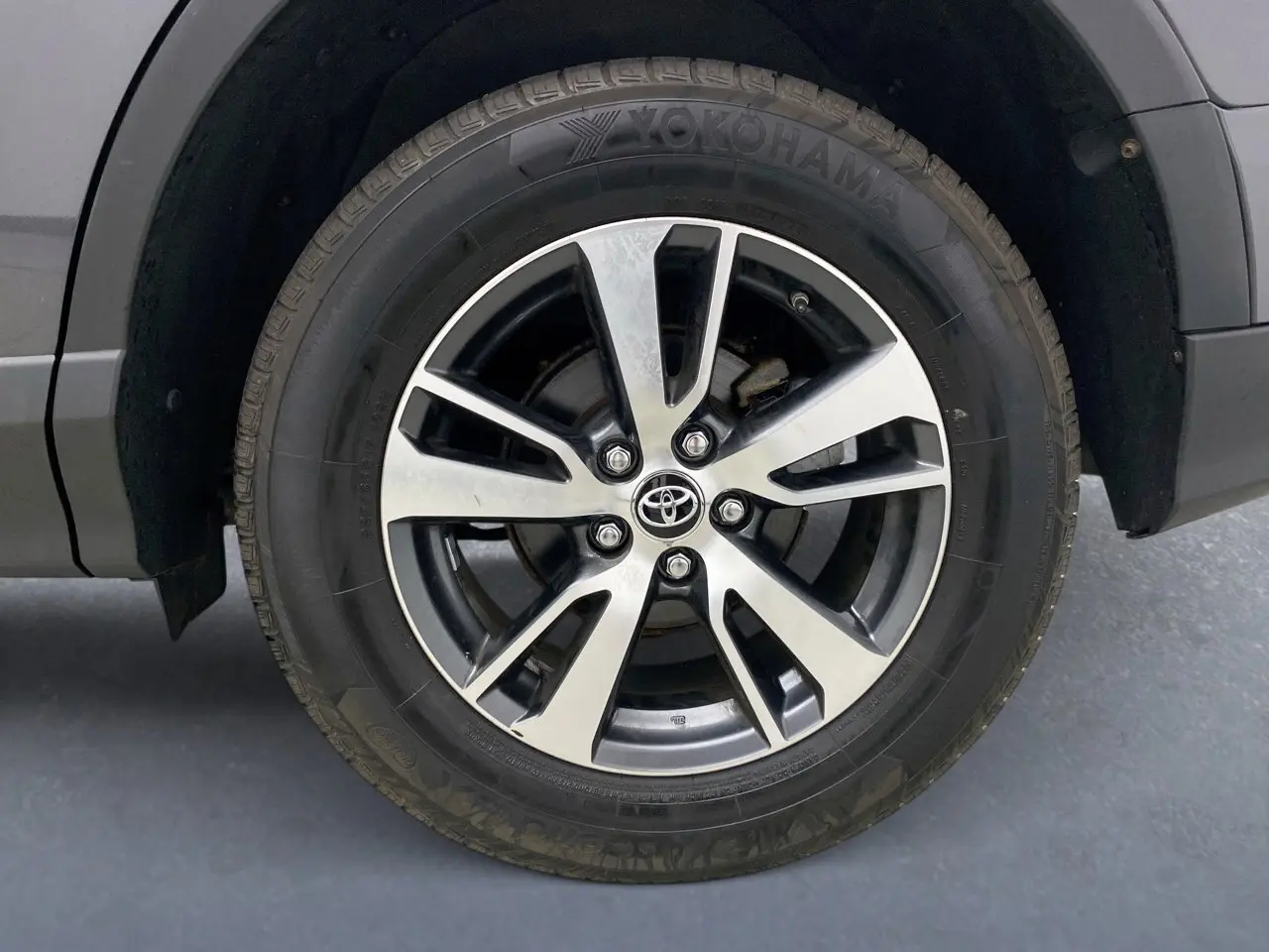 image-19