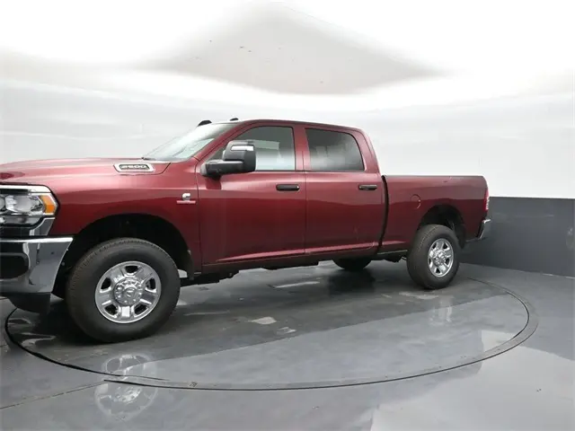 image-7
