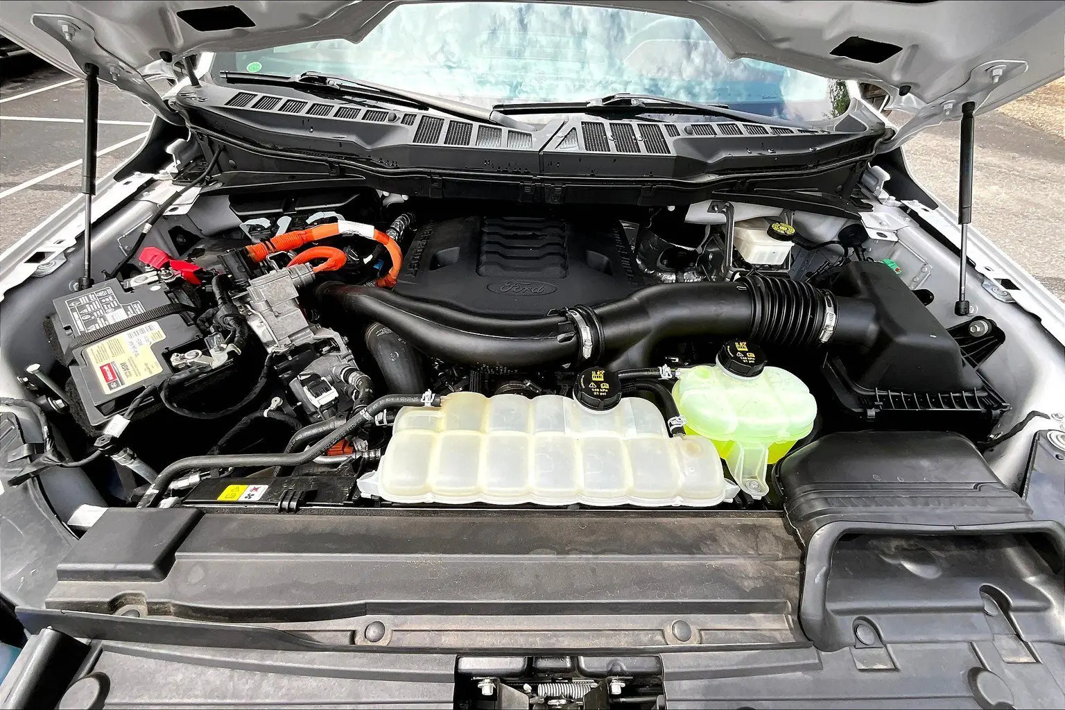 image-8