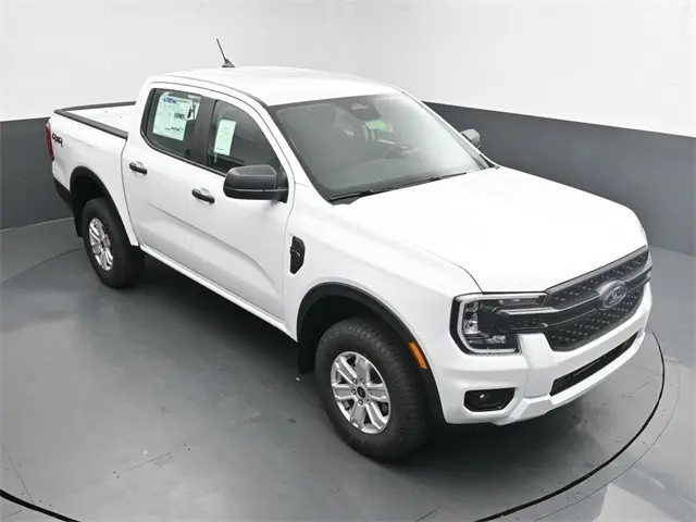 image-19