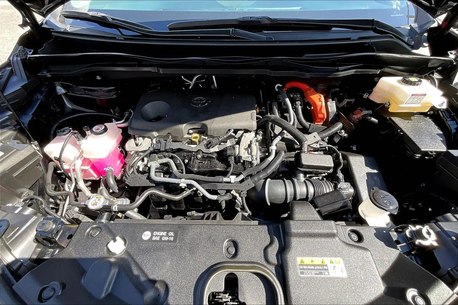image-12