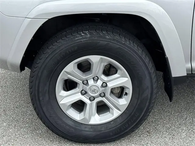image-20