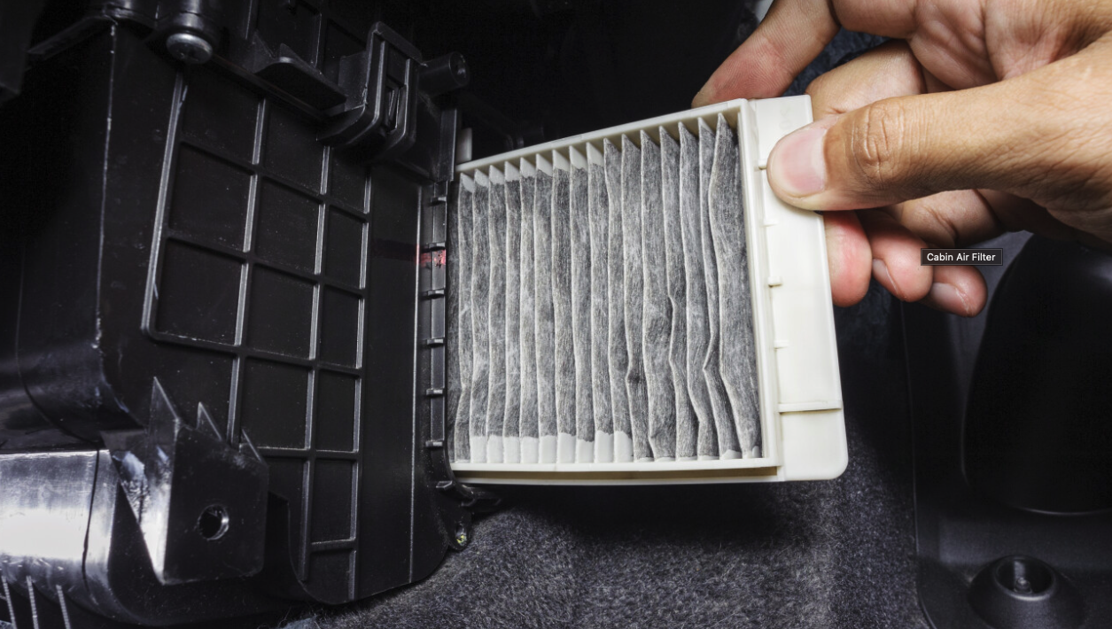 Blog Cover Image