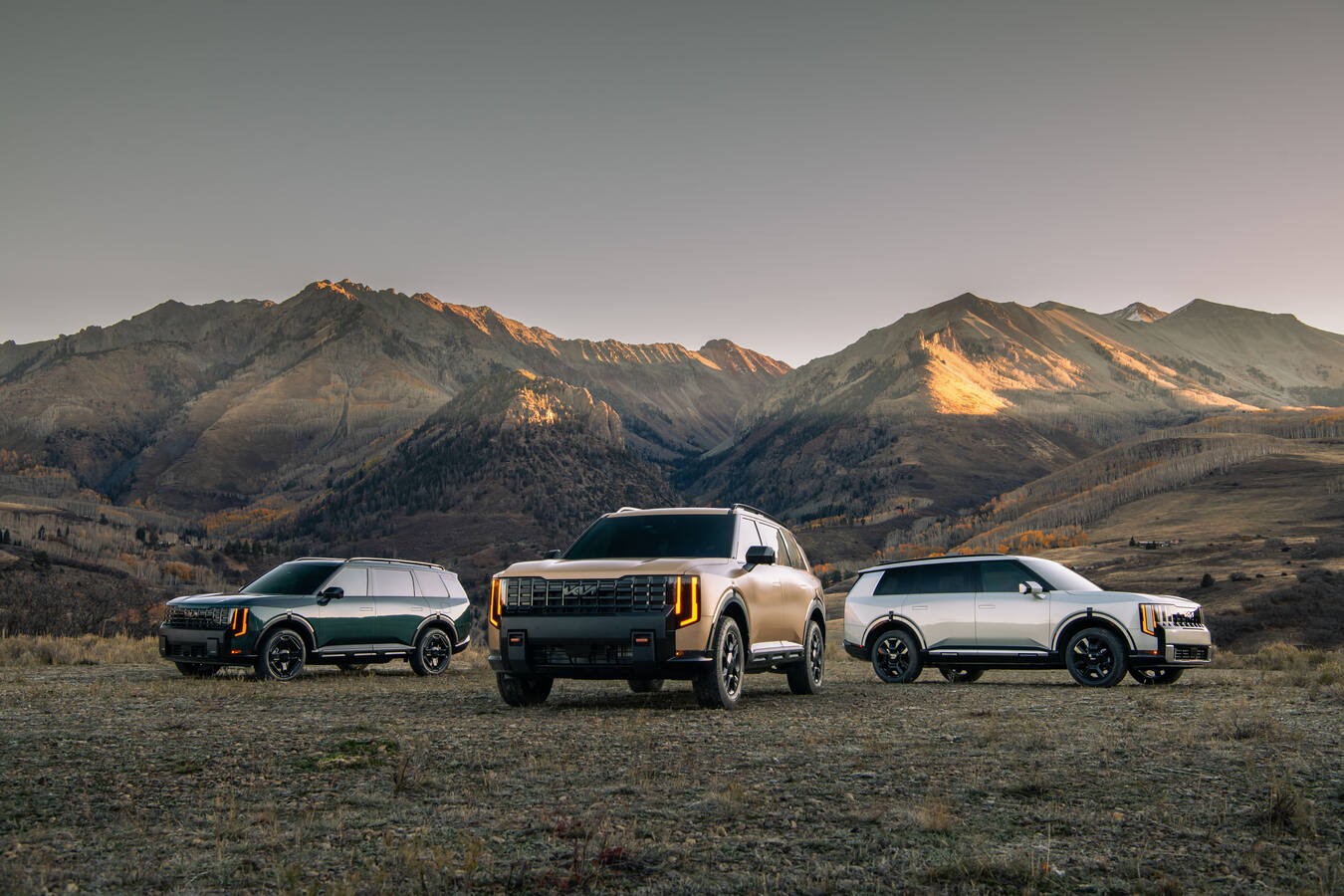 View Vehicle Offers