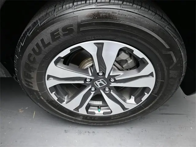 image-19