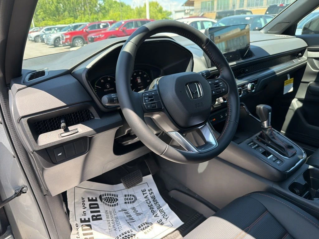 image-12