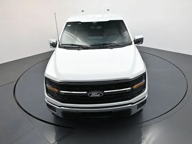 image-19