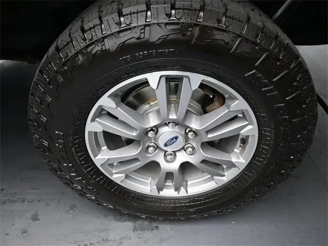 image-19
