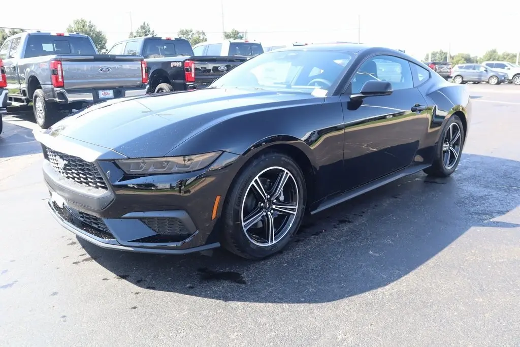 2025 Ford Mustang EcoBoost photo 9
