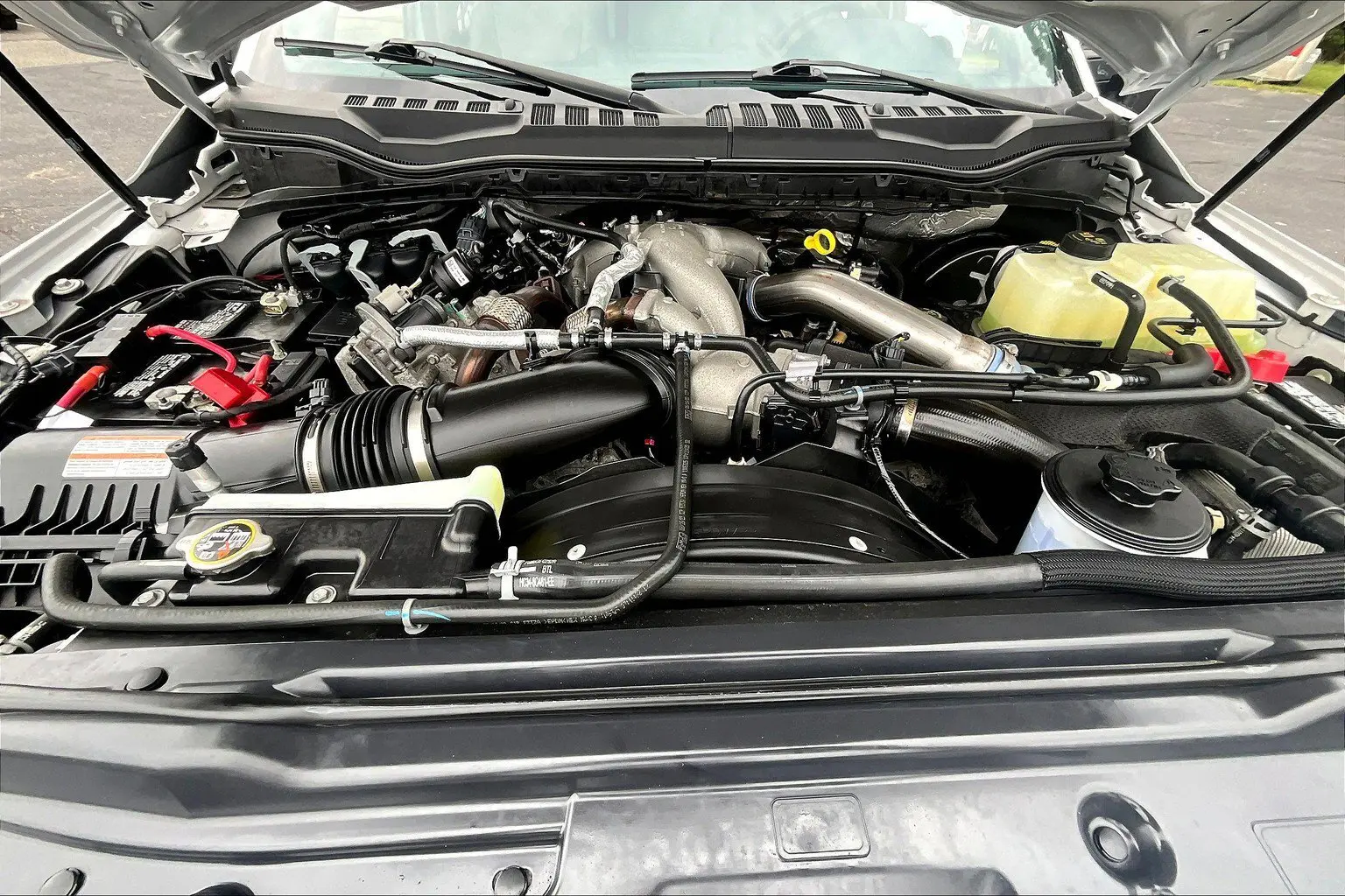 image-7