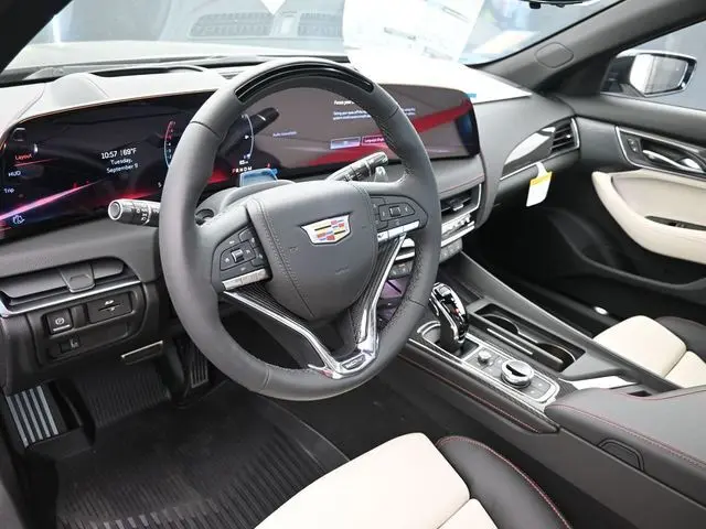 image-19