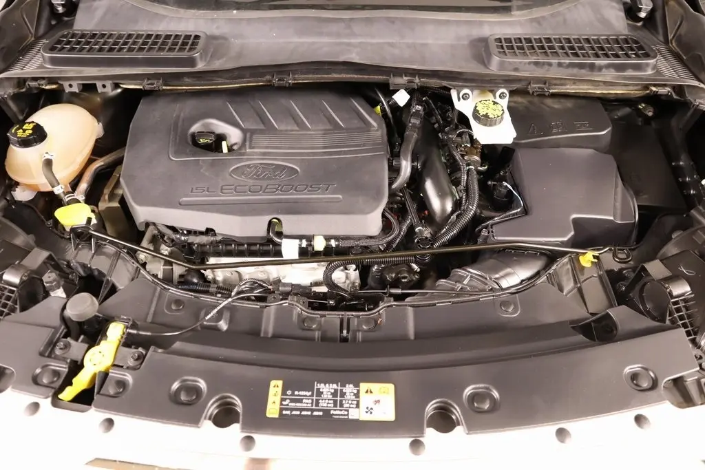 image-19