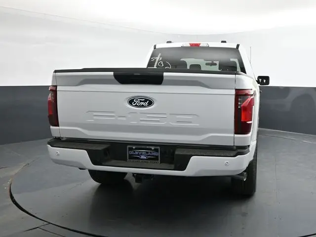 image-7