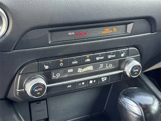 image-19