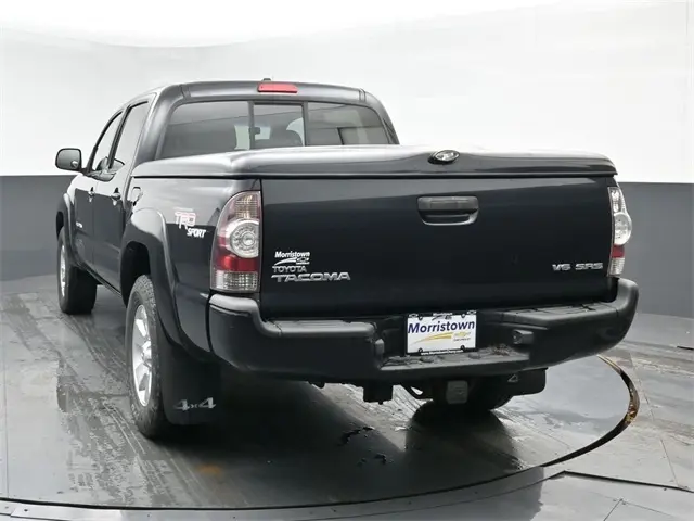 image-11