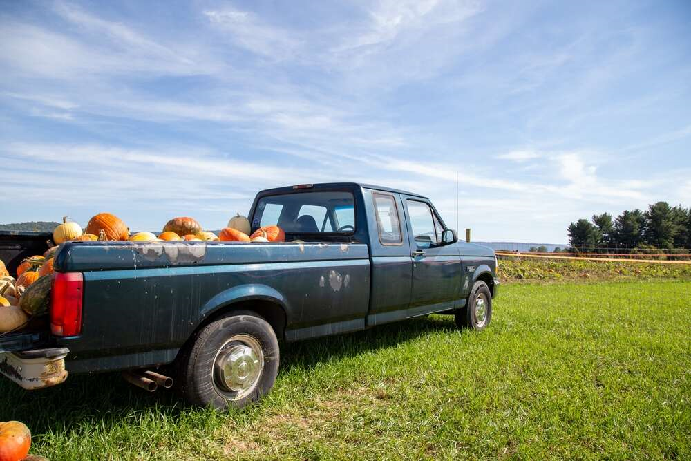 an old ford farm truck in the pumpkin patch. They use the truck daily to pick pumpkins for those who cannot walk through the field.