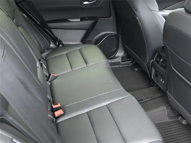 image-15