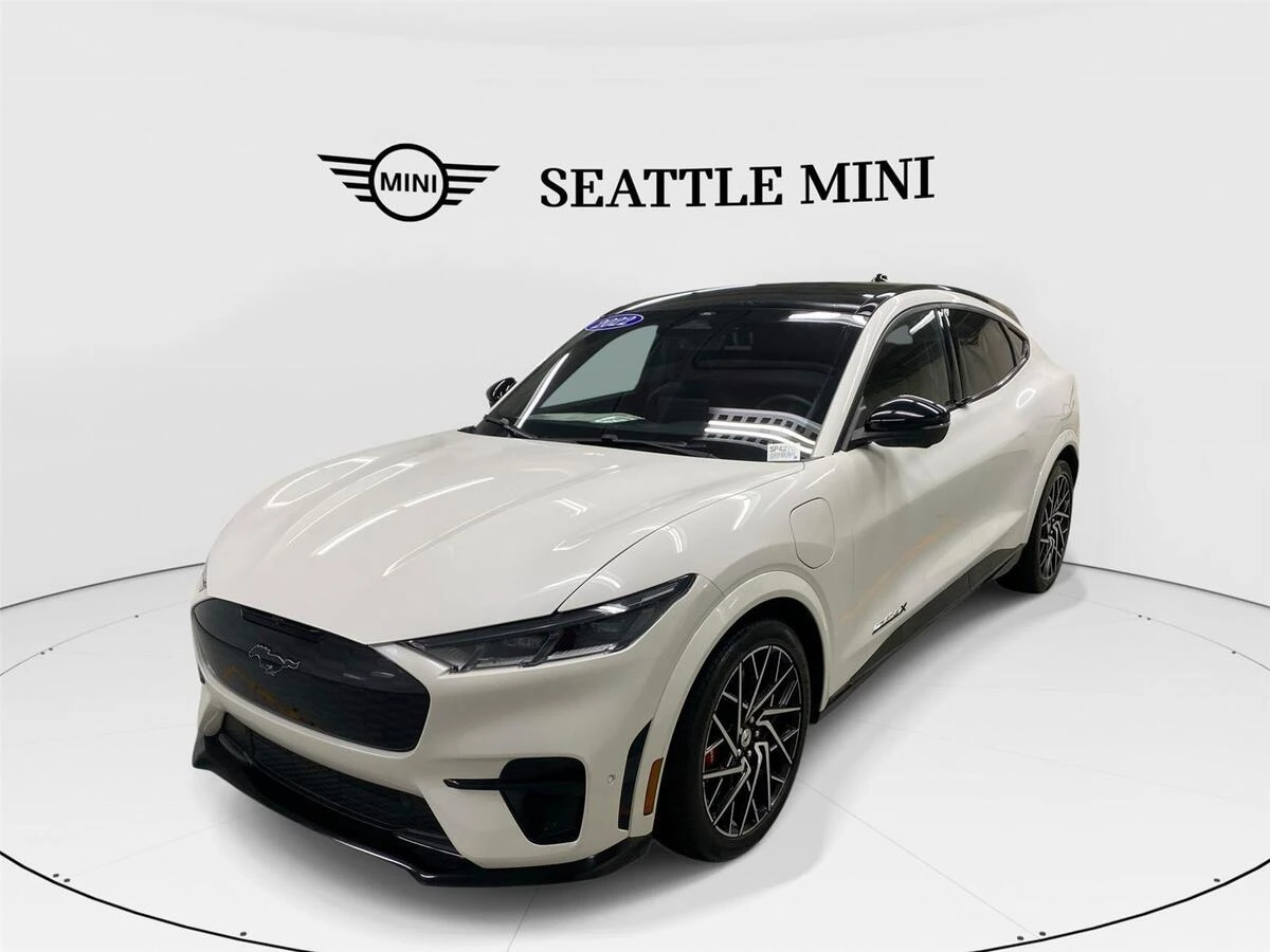 2022 Ford Mustang-Mach-e GT's photo