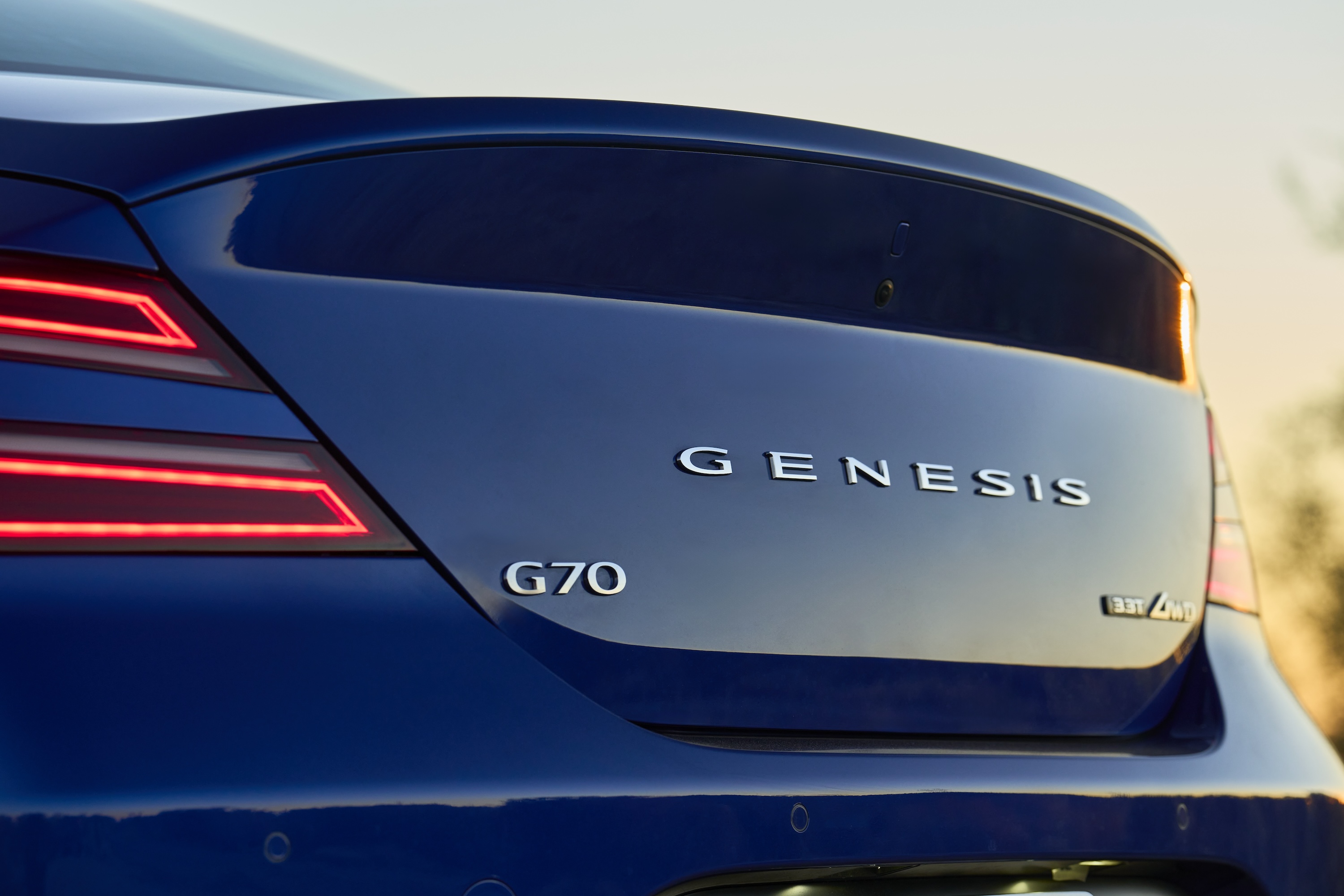 Elevate Your Drive
