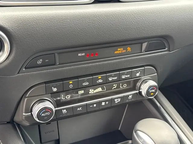 image-19