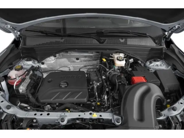 image-11