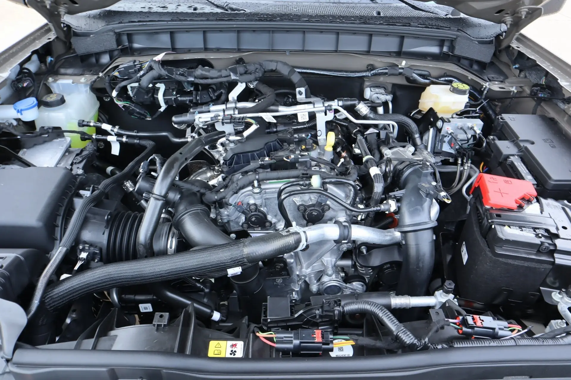 image-19