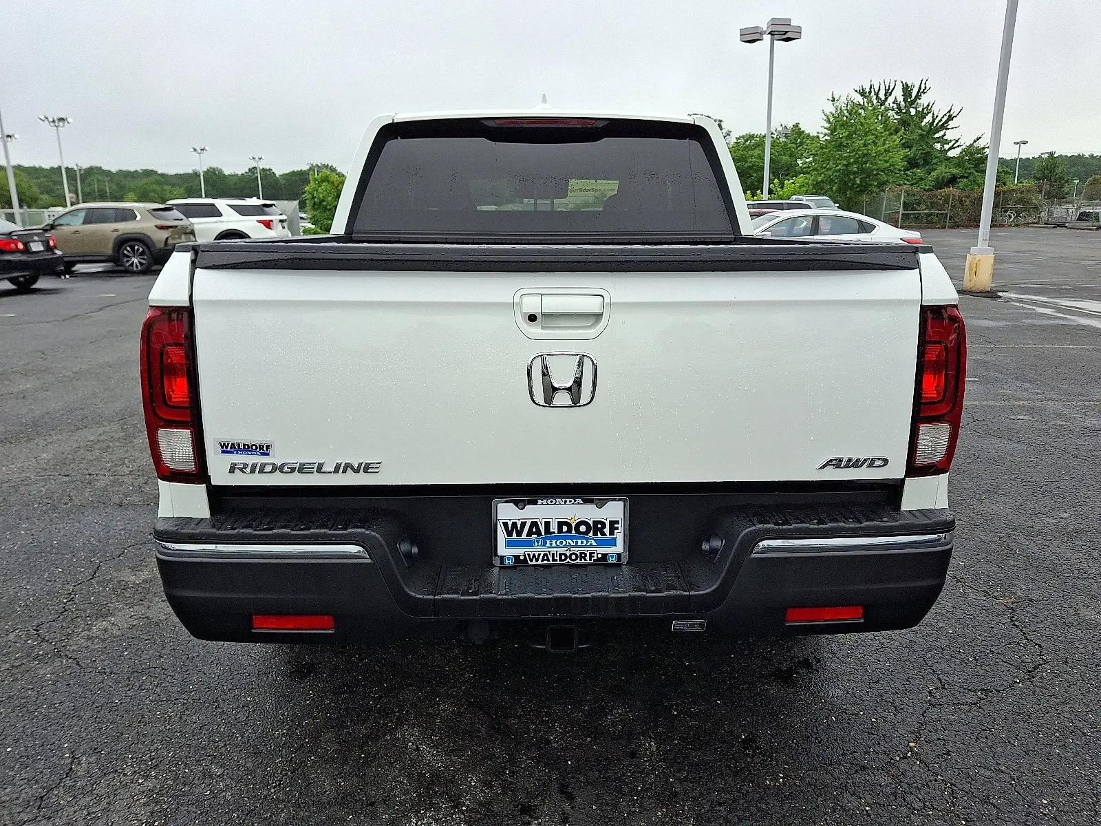 image-4