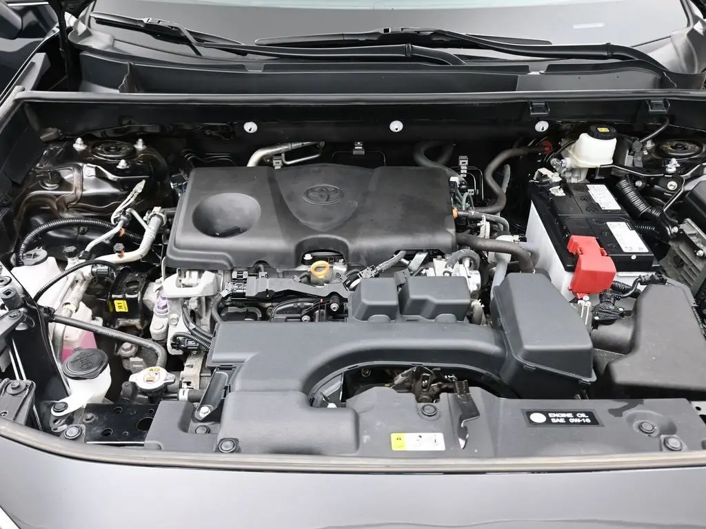 image-19
