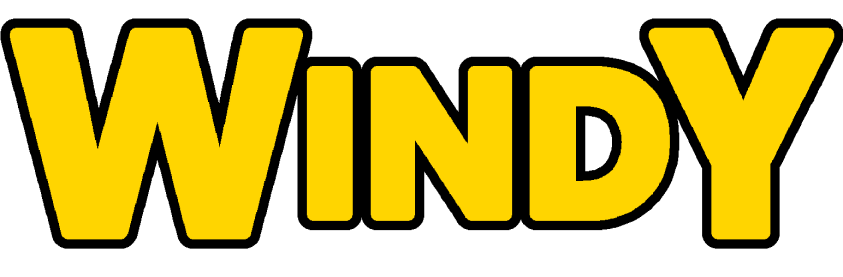 Windy Auto Group