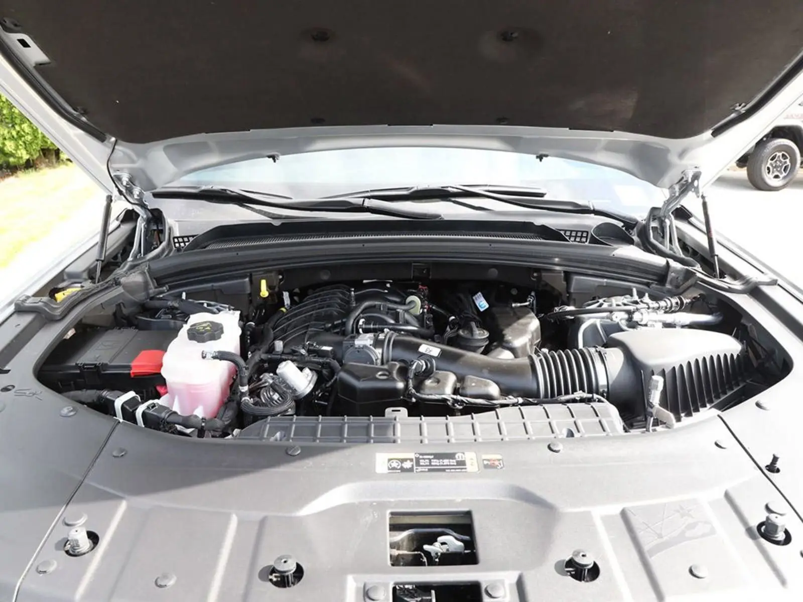 image-7