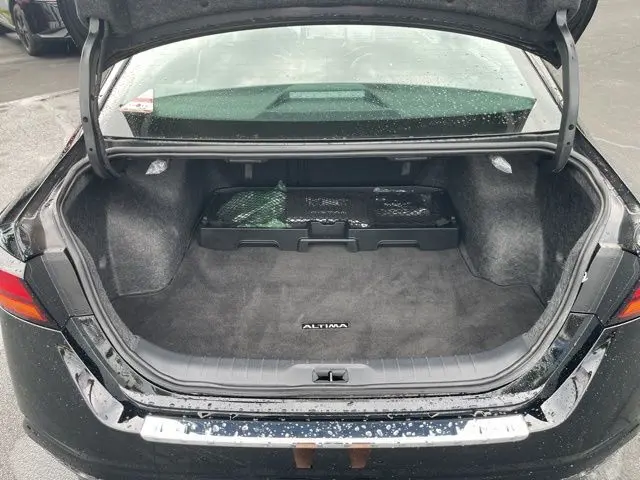 image-19