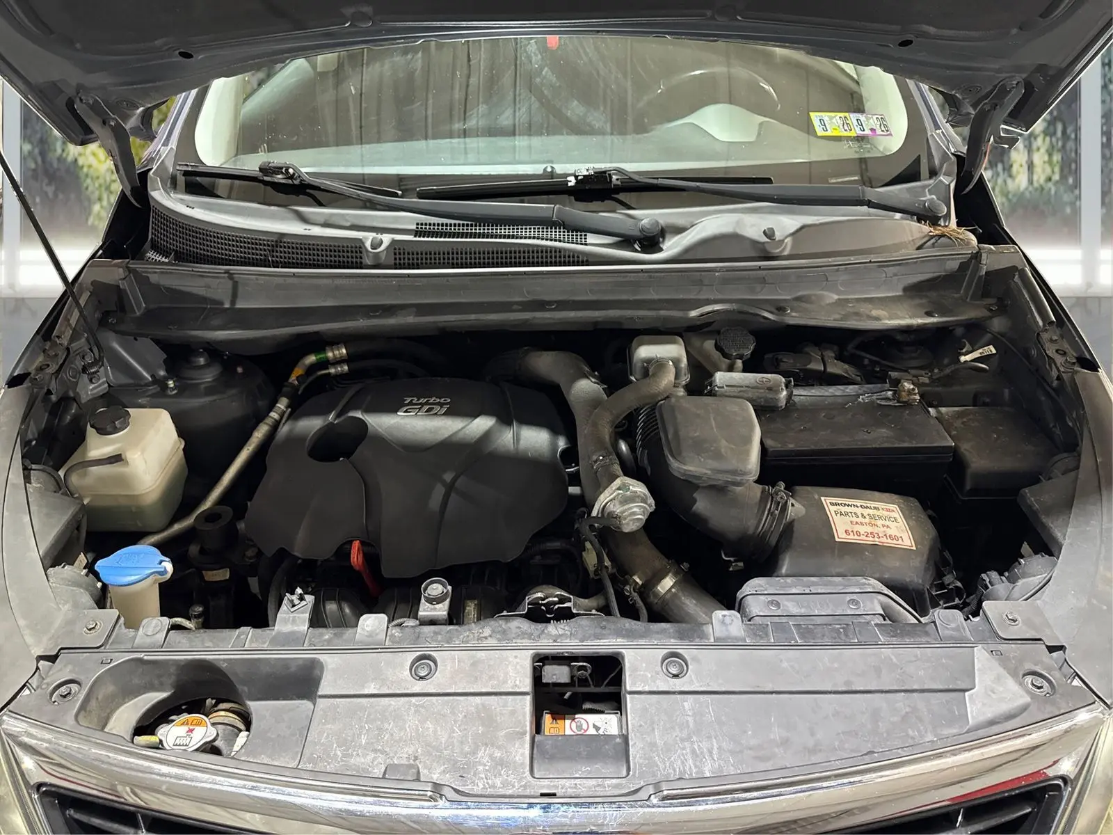 image-19