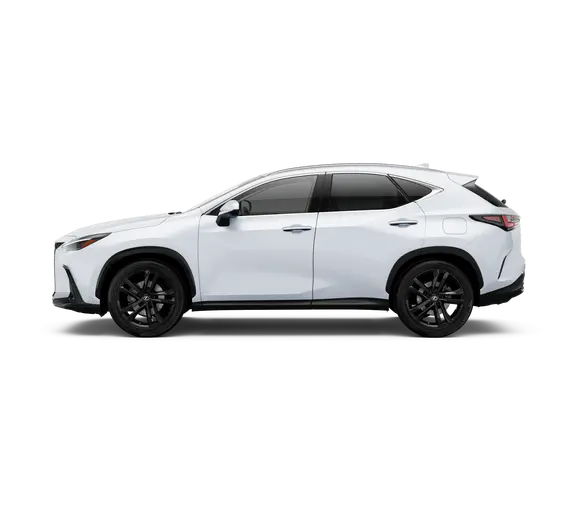 2026 Lexus NX Luxury AWD photo 2