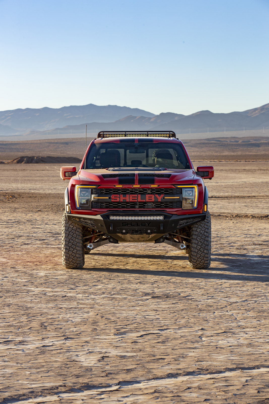 Shelby Raptor Light Bar