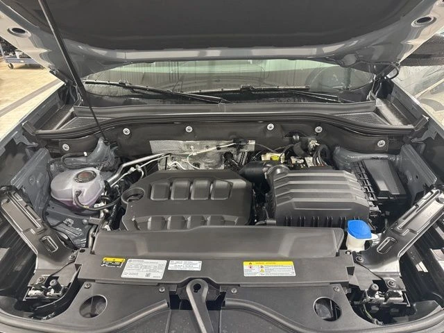 image-19