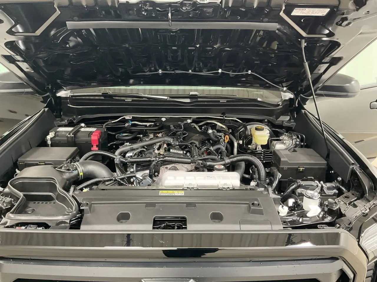 image-19