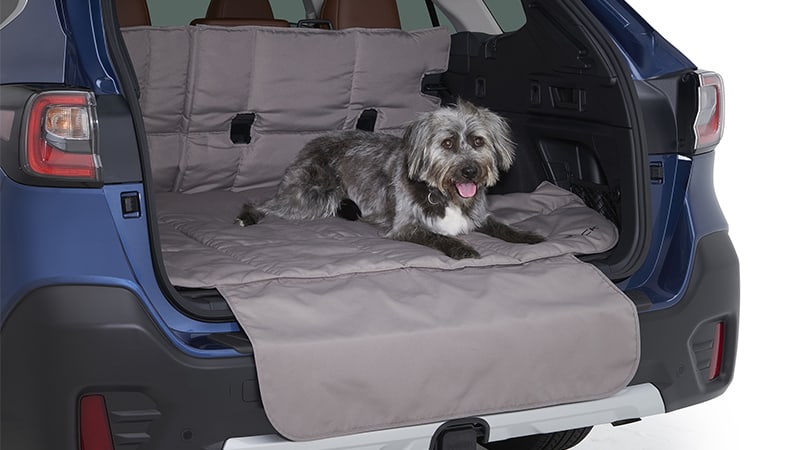 Dog laying in back of vehicle with cargo liner