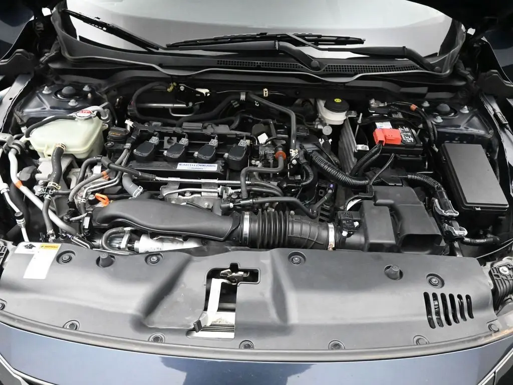 image-19